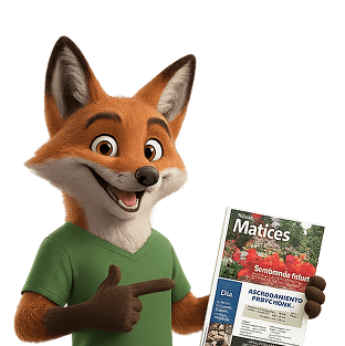 Mati - Ver Sugerencias