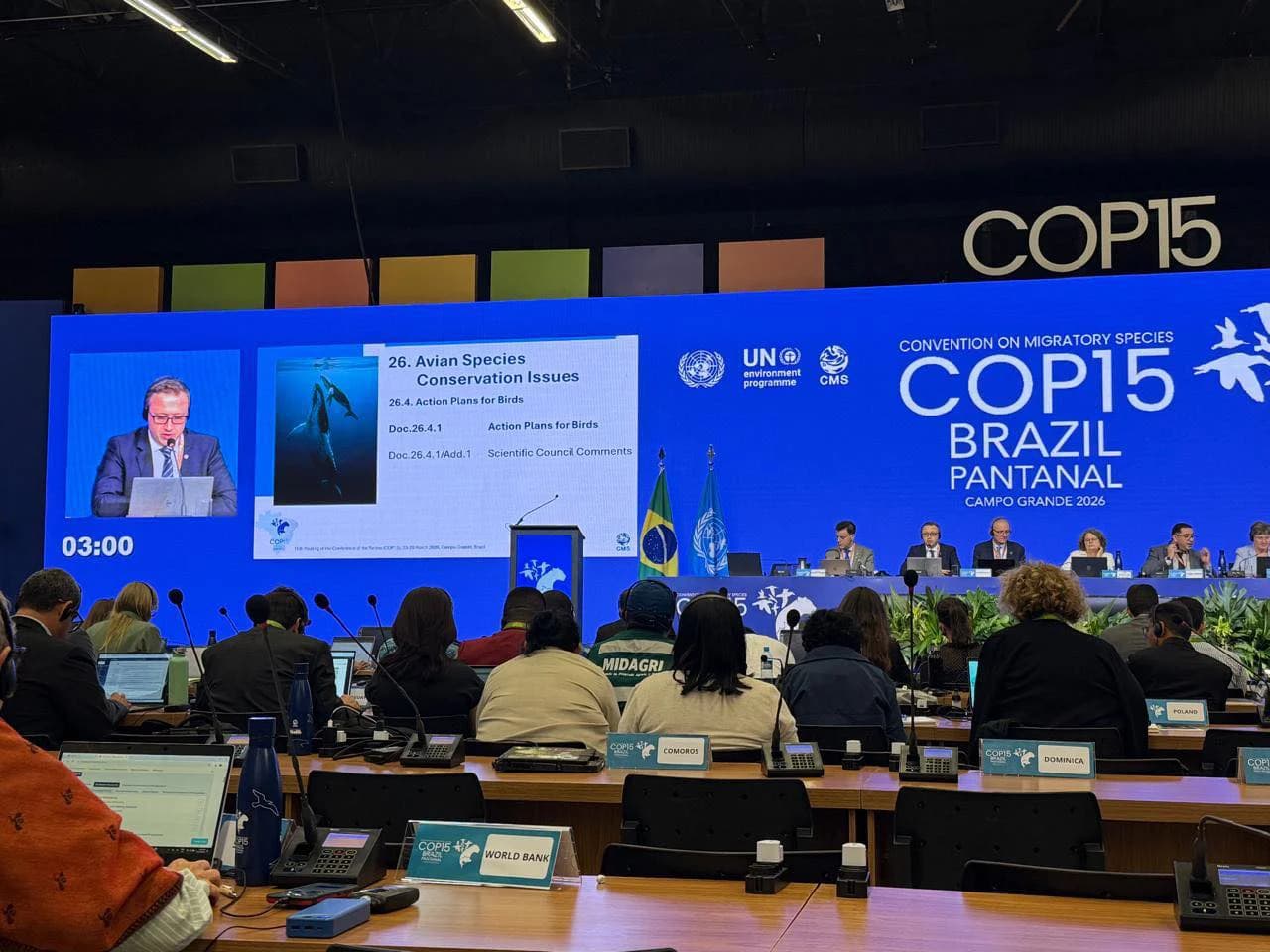 COP15 impulsa la protección global de especies migratorias con nuevos acuerdos y financiamiento